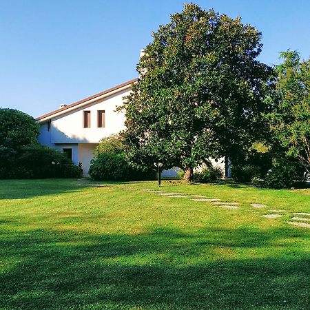 موتا دي ليفينزا B&B Villa Elisa المظهر الخارجي الصورة