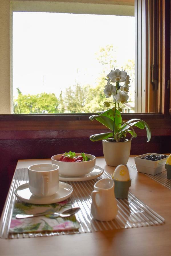 موتا دي ليفينزا B&B Villa Elisa المظهر الخارجي الصورة